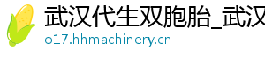 武汉代生双胞胎_武汉供卵代生服务_武汉供卵代生医院	